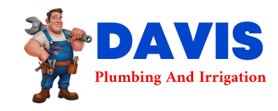 Trusted plumber in DES LACS